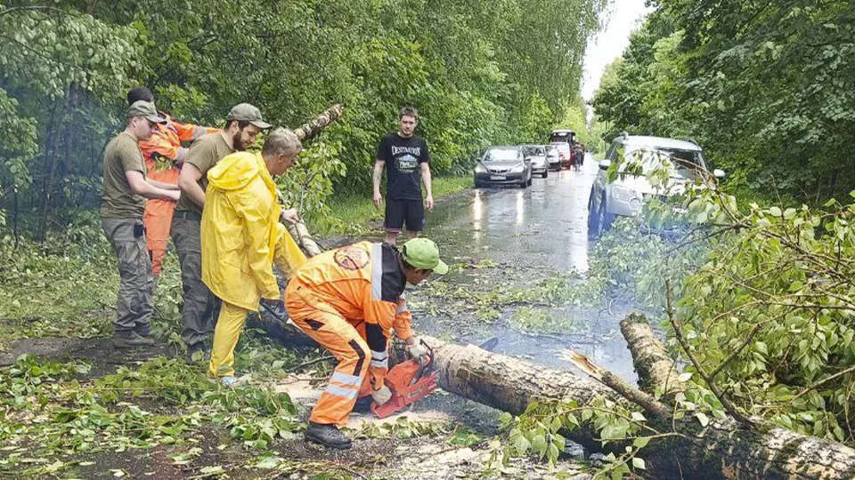 Фото: t.me/avtobytdor