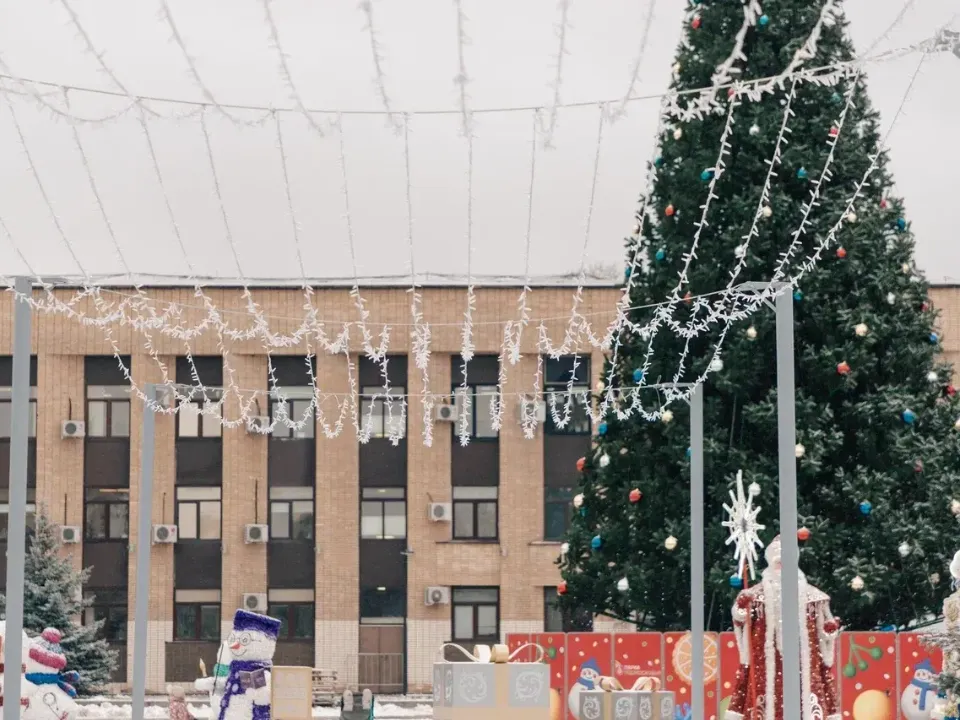 Фото: пресс-служба администрации г.о. Домодедово