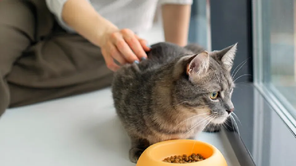 Фото: freepik.com