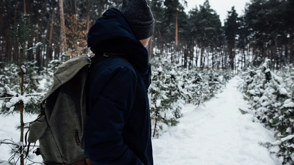 Фото: freepik.com