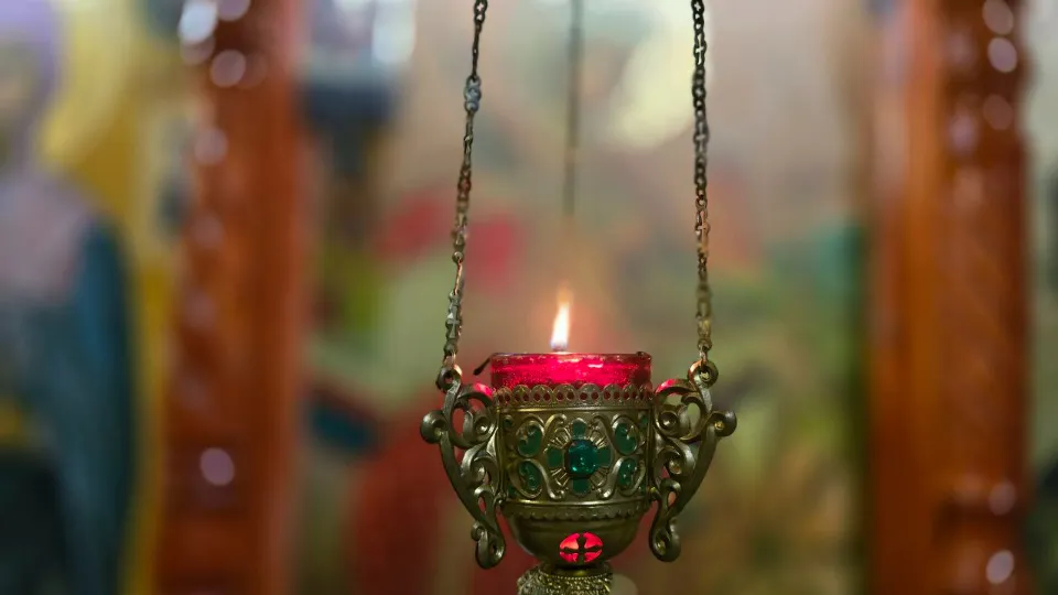 Фото: МедиаБанк Подмосковья/Яна Шаливская