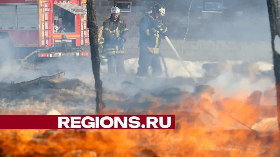 Фото: Александр Дрожжин