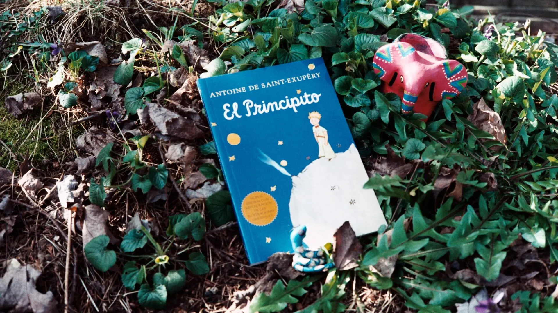 МедиаБанк Подмосковья