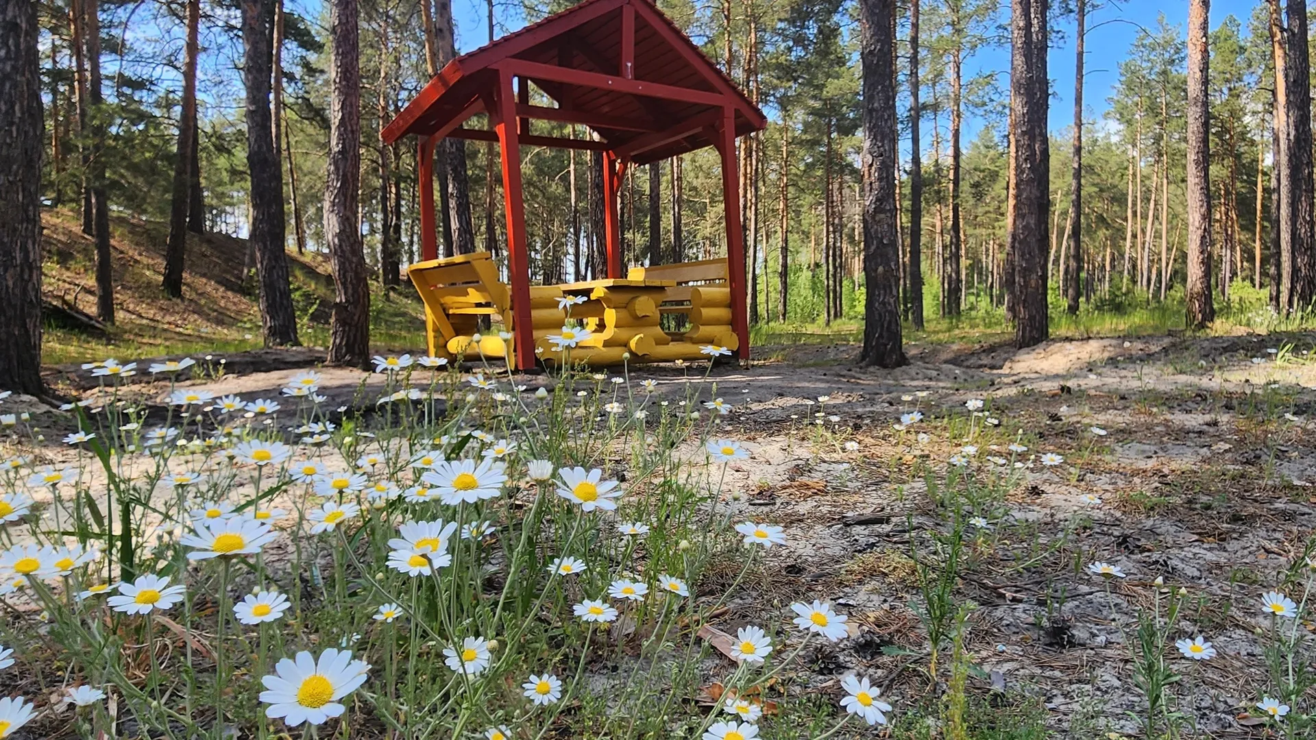 Фото: МедиаБанк Подмосковья/Марина Анисимова