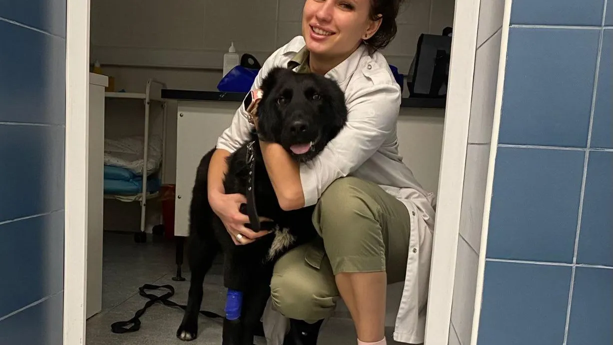 Фото: пресс-служба Министерства сельского хозяйства и продовольствия МО