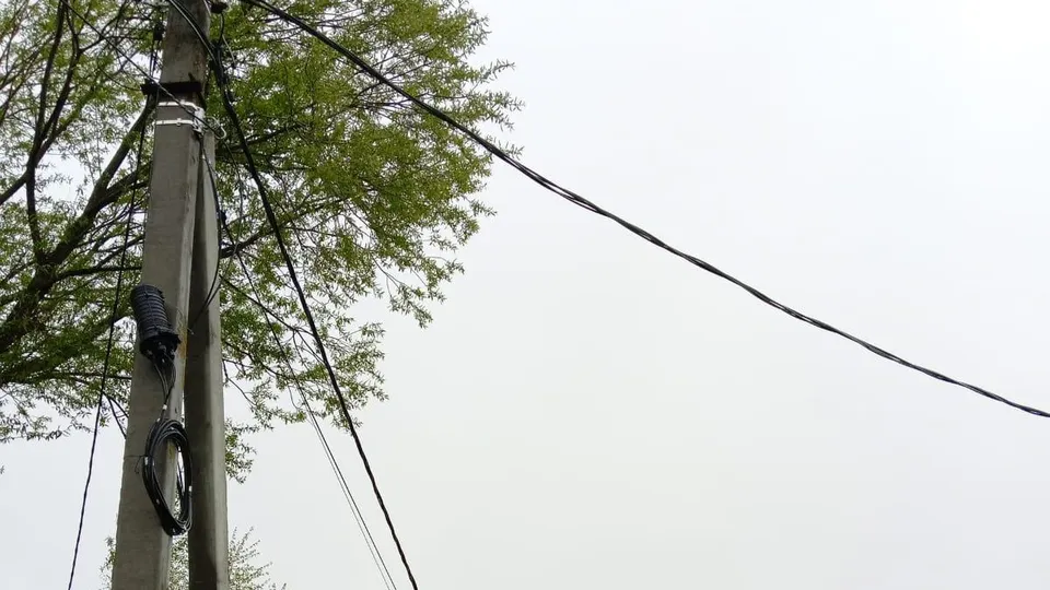 Фото: администрация м.о. Шаховская