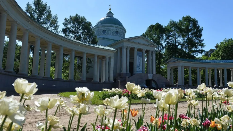 Фото: медиасток.рф