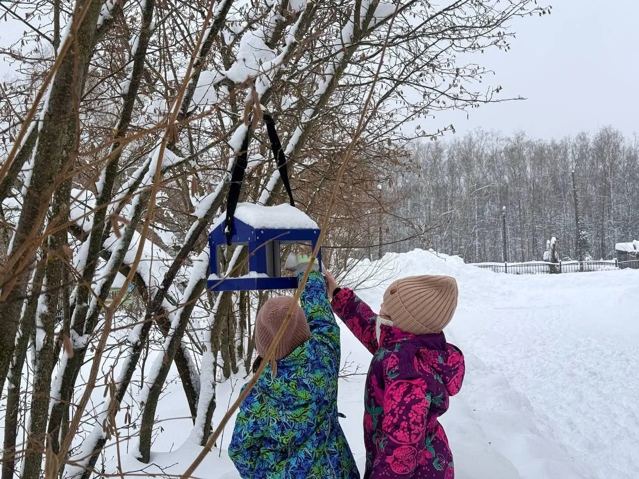 Фото: пресс-служба администрации Шатурского округа