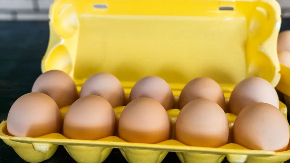 Фото: Министерство сельского хозяйства и продовольствия Московской области