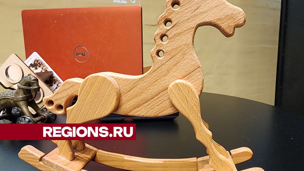 фото, фидео: Хавива Фонина