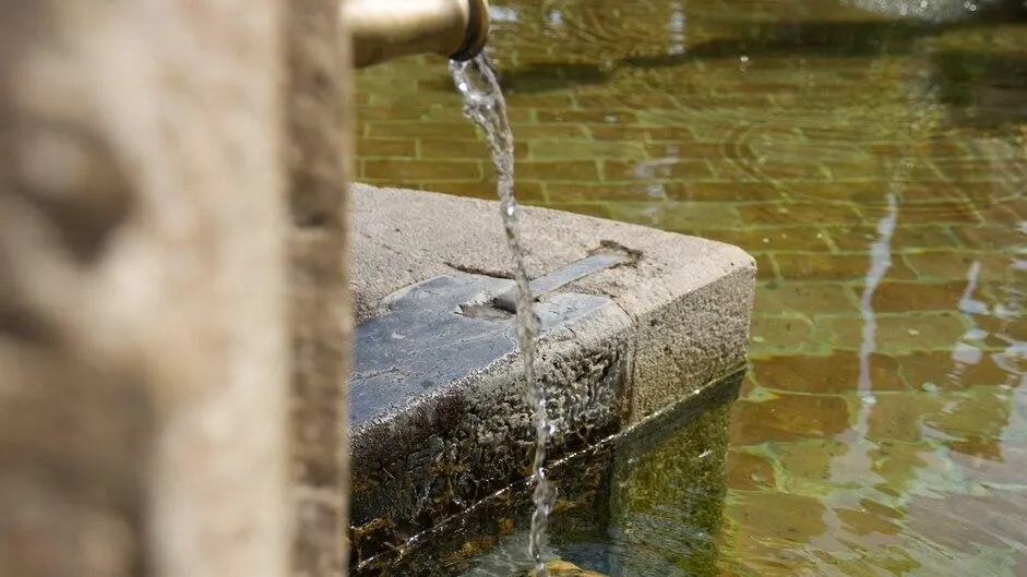 Фото: Администрация Наро-Фоминского г.о.