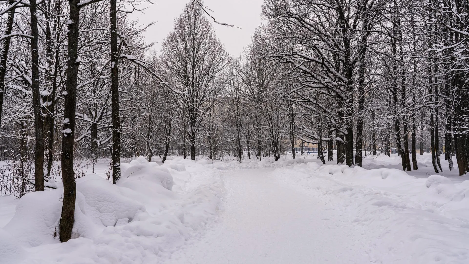 медиасток.рф