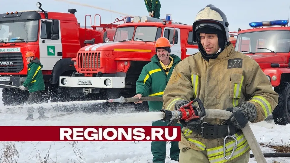 Фото: Александр Дрожжин