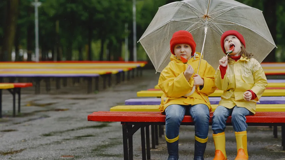 Фото: freepik.com