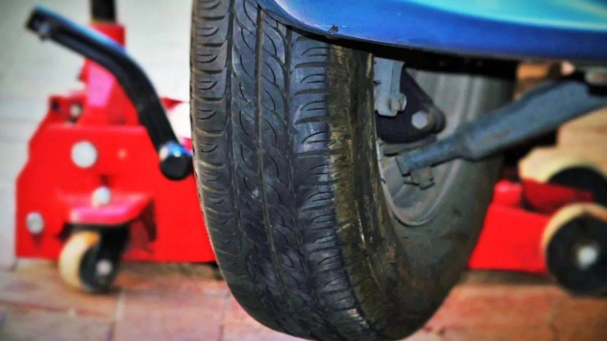 Фото: pxhere.com