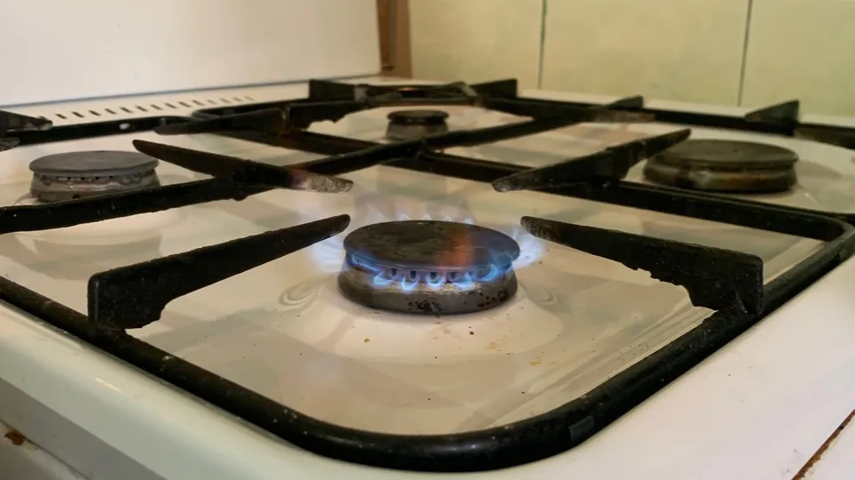 Фото: МедиаБанк Подмосковья/Семибратов Андрей