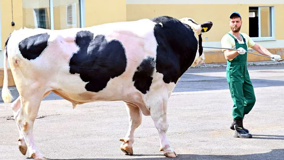 Фото: Минсельхозпрод МО