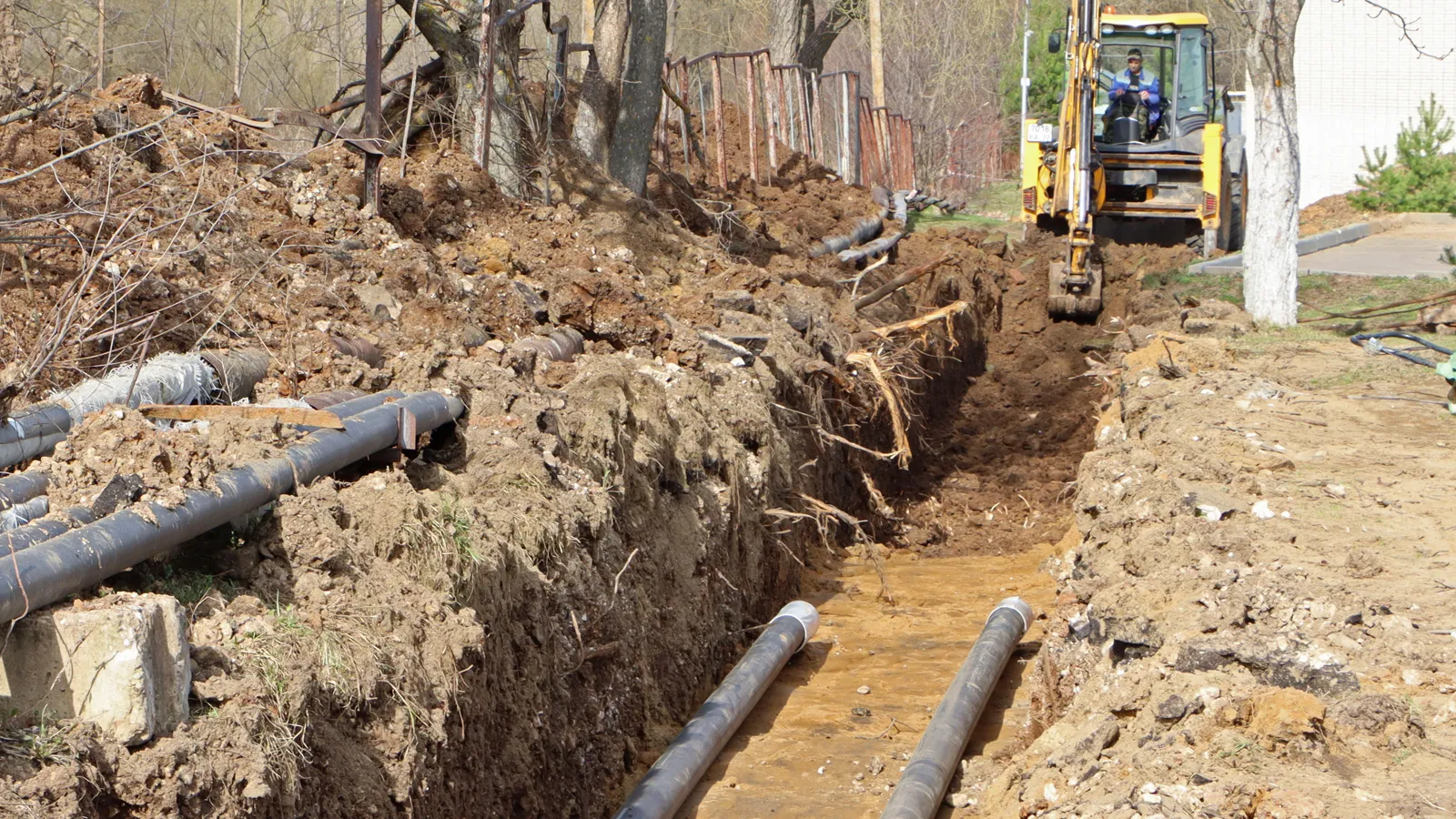 Фото: Антон Чернов