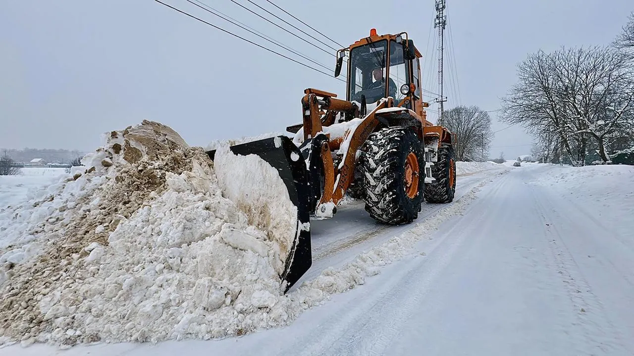REGIONS/Кристина Тришина