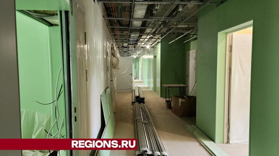 Фото: Светлана Плотникова