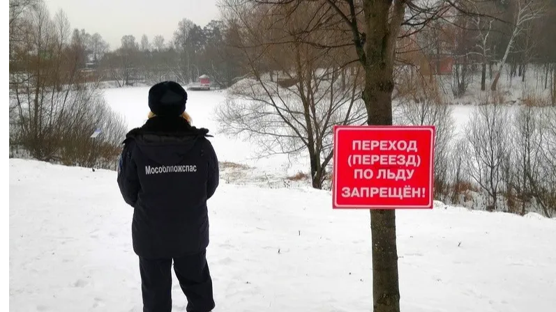 Источник: ГКУ МО «Мособлпожспас»