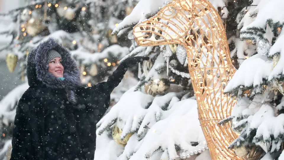 Фото: ТАСС/Сергей Фадеичев