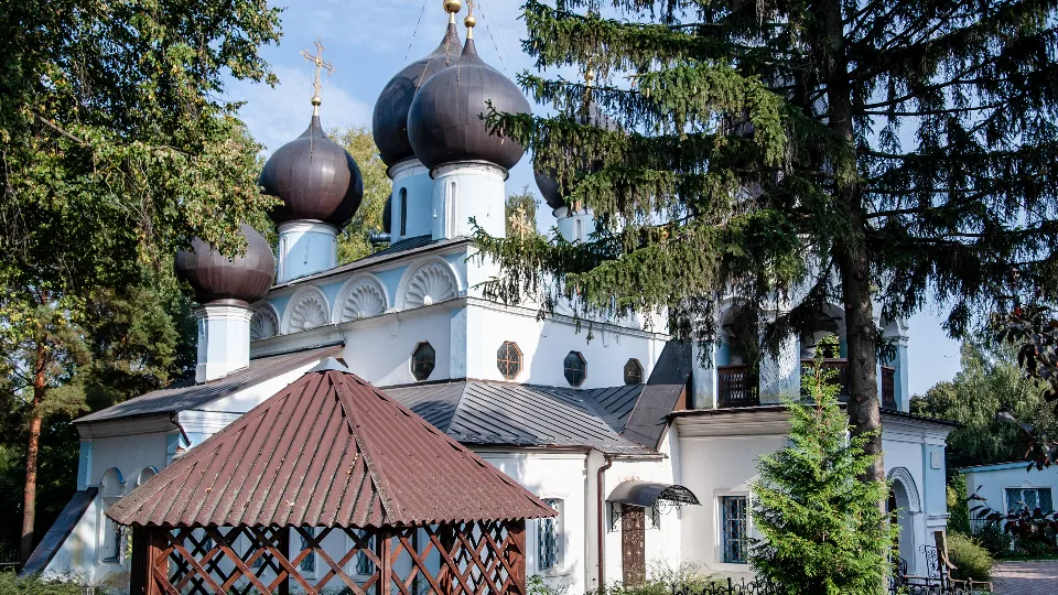 Фото: медиасток.рф