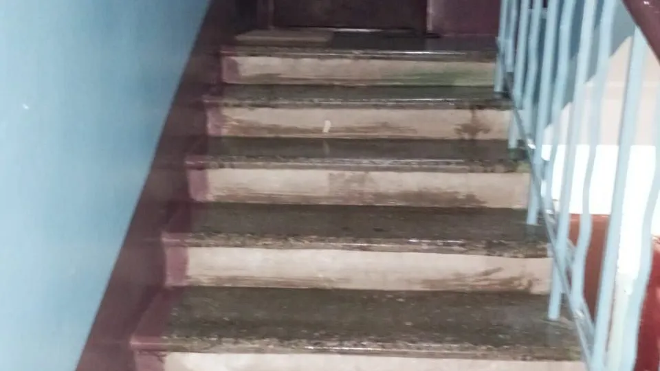 Фото: МЦУР Жуковский