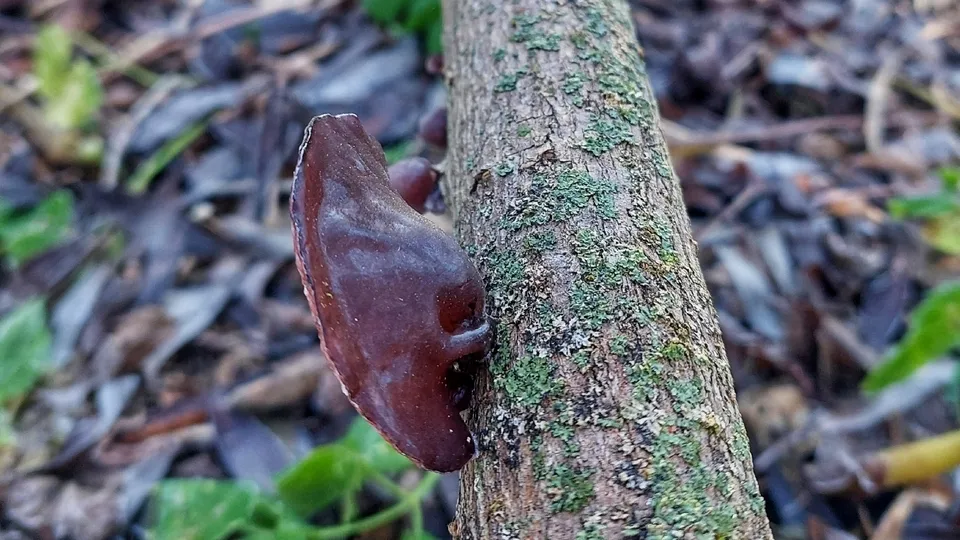 Фото: Василий Потапов