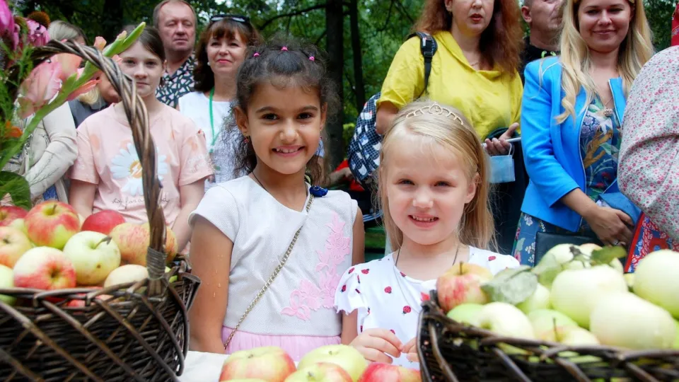Фото: Государственный литературно-мемориальный музей-заповедник А.П. Чехова «Мелихово»