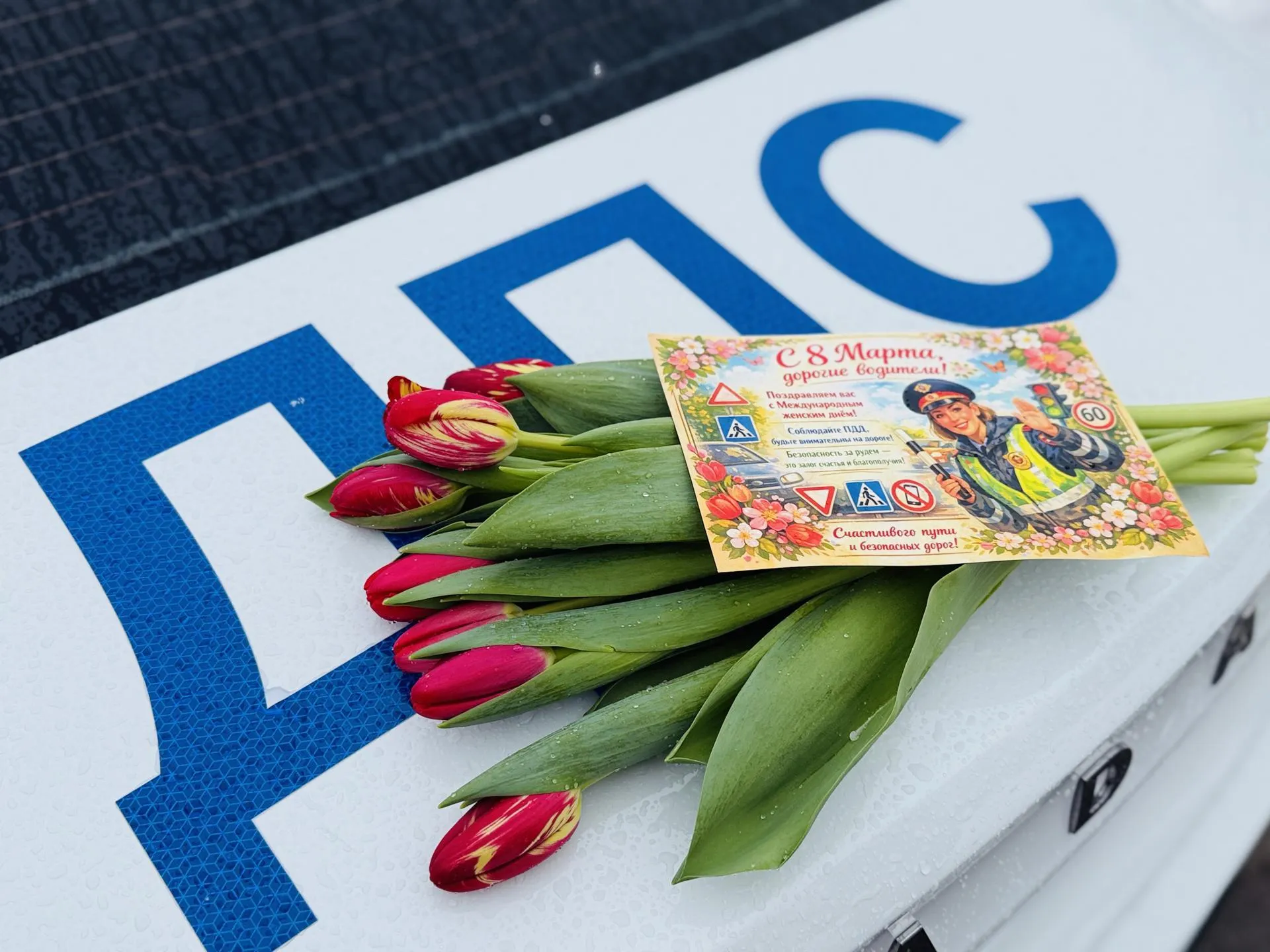 МедиаБанк Подмосковья/Ольга Стаферова