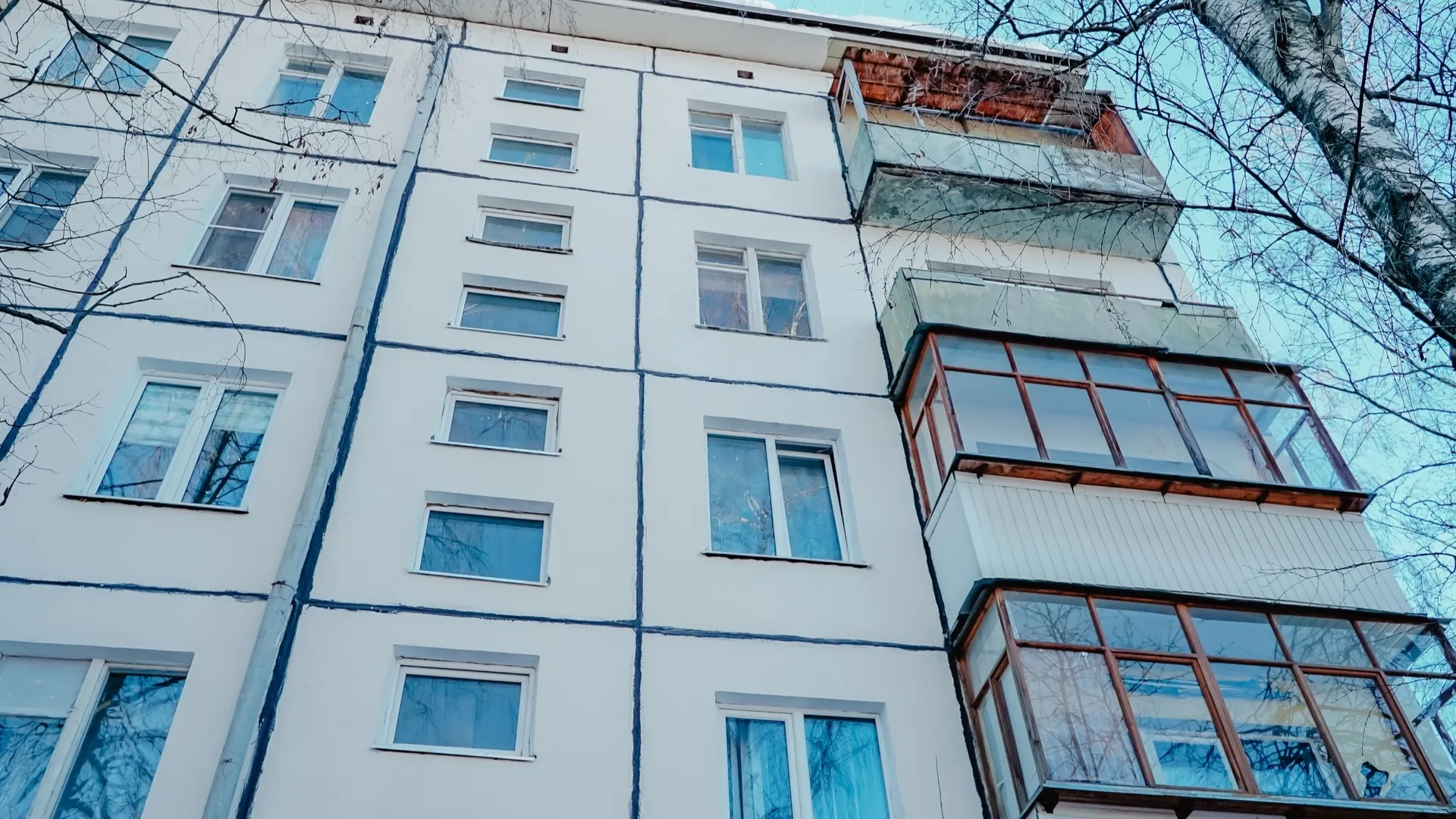 Фото: пресс-служба администрации г.о. Химки