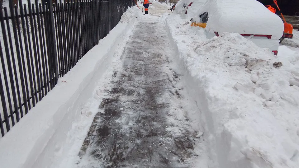 Фото: пресс-служба администрации г.о. Пушкинский