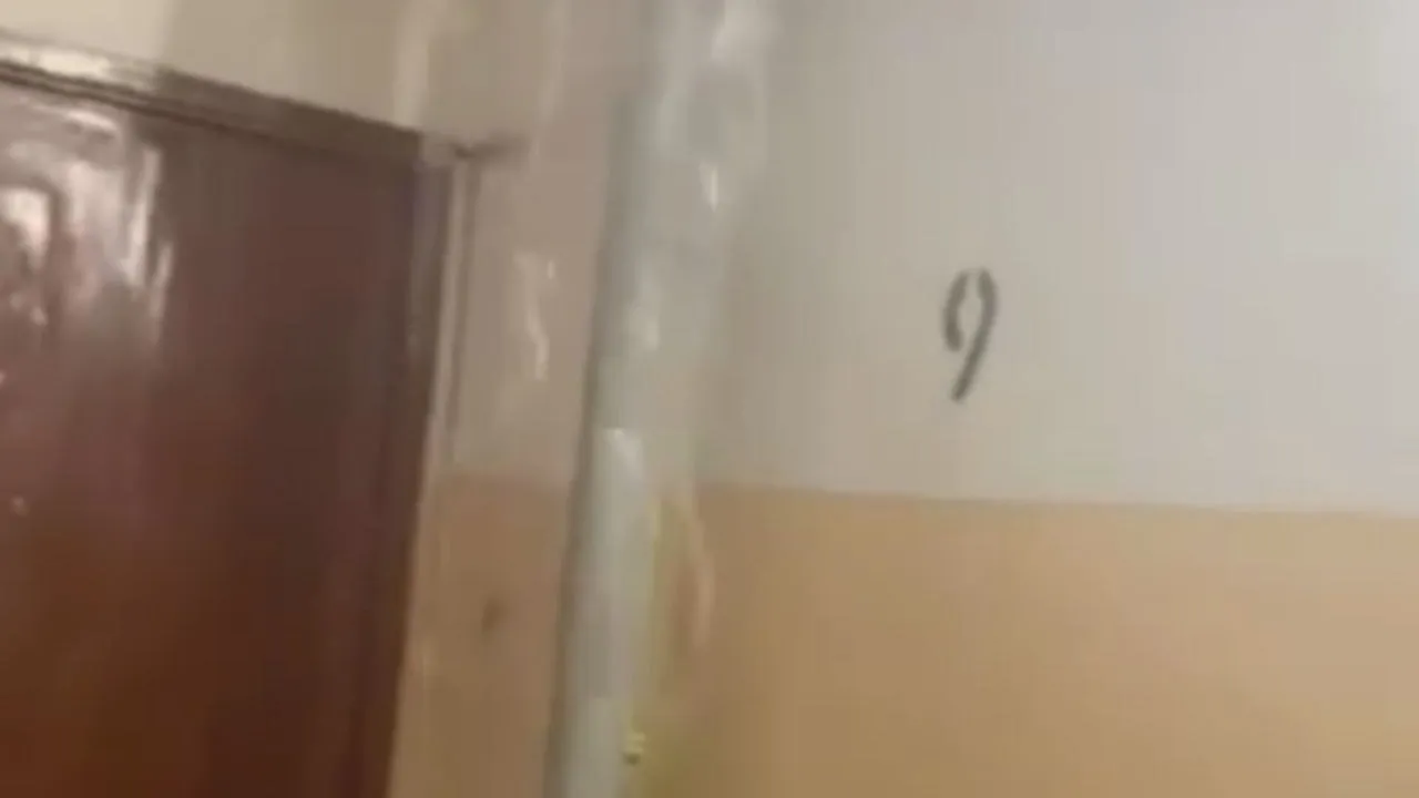 Фото: t.me/vidnoelives