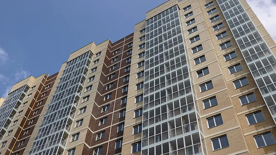 Фото: пресс-служба губернатора и правительства Московской области/Екатерина Агеева