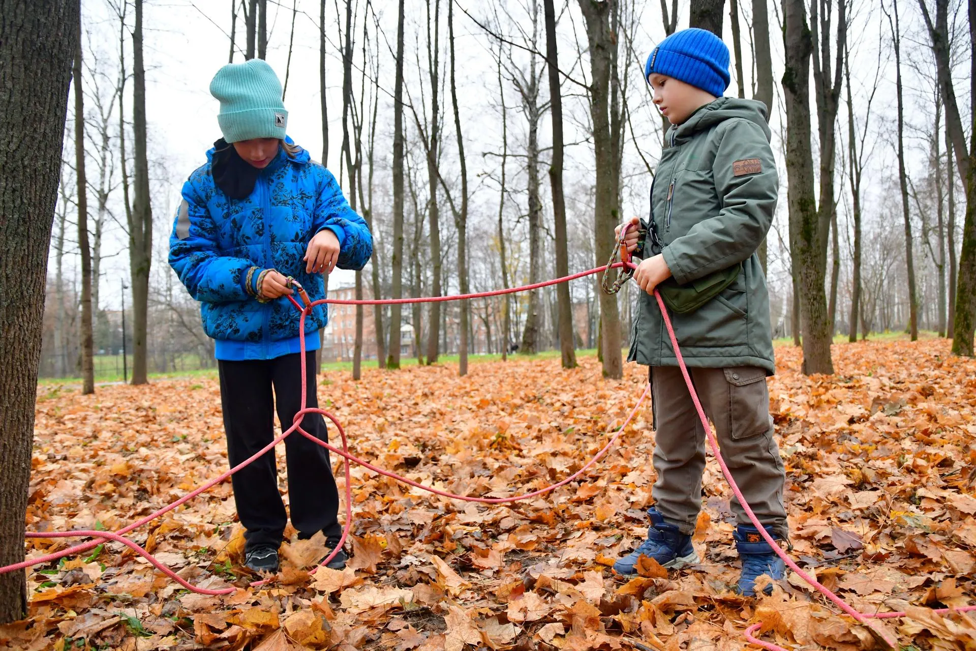 Фото: Наталья Бычкова/Ступинская панорама
