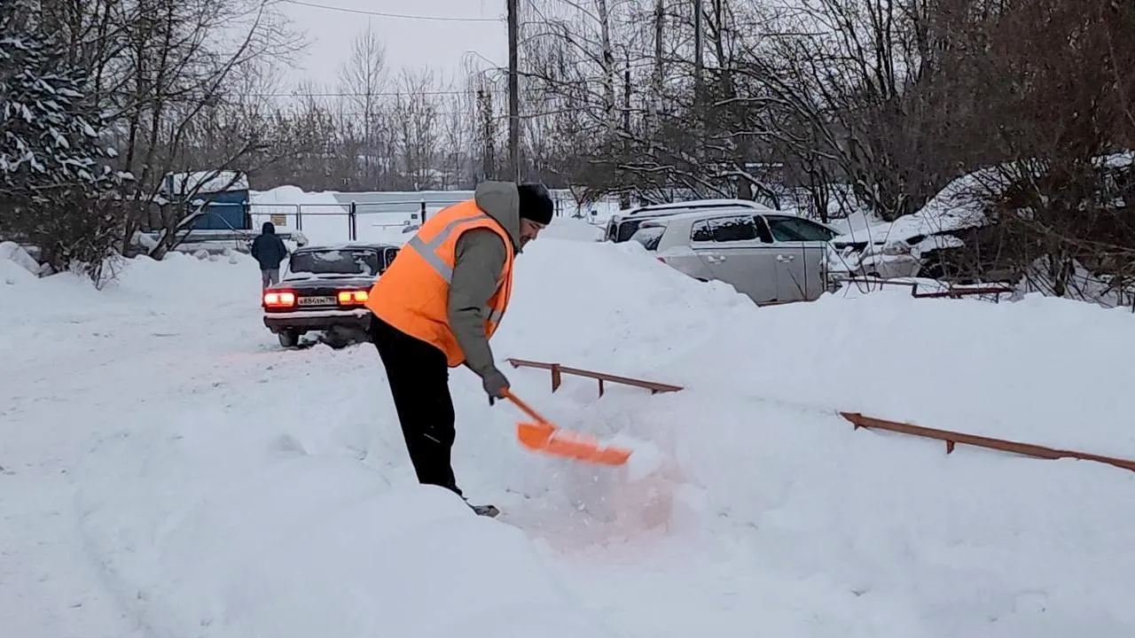 МедиаБанк Подмосковья/Анна Шолохова