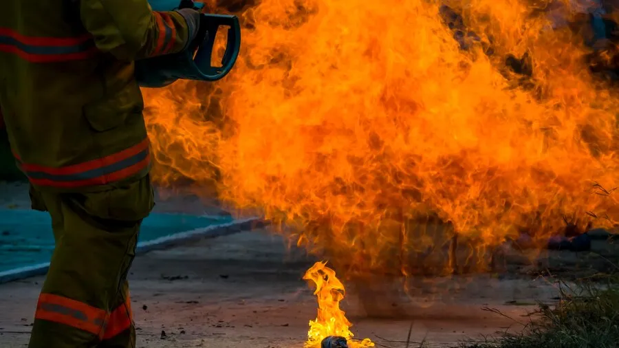 Фото: freepik.com