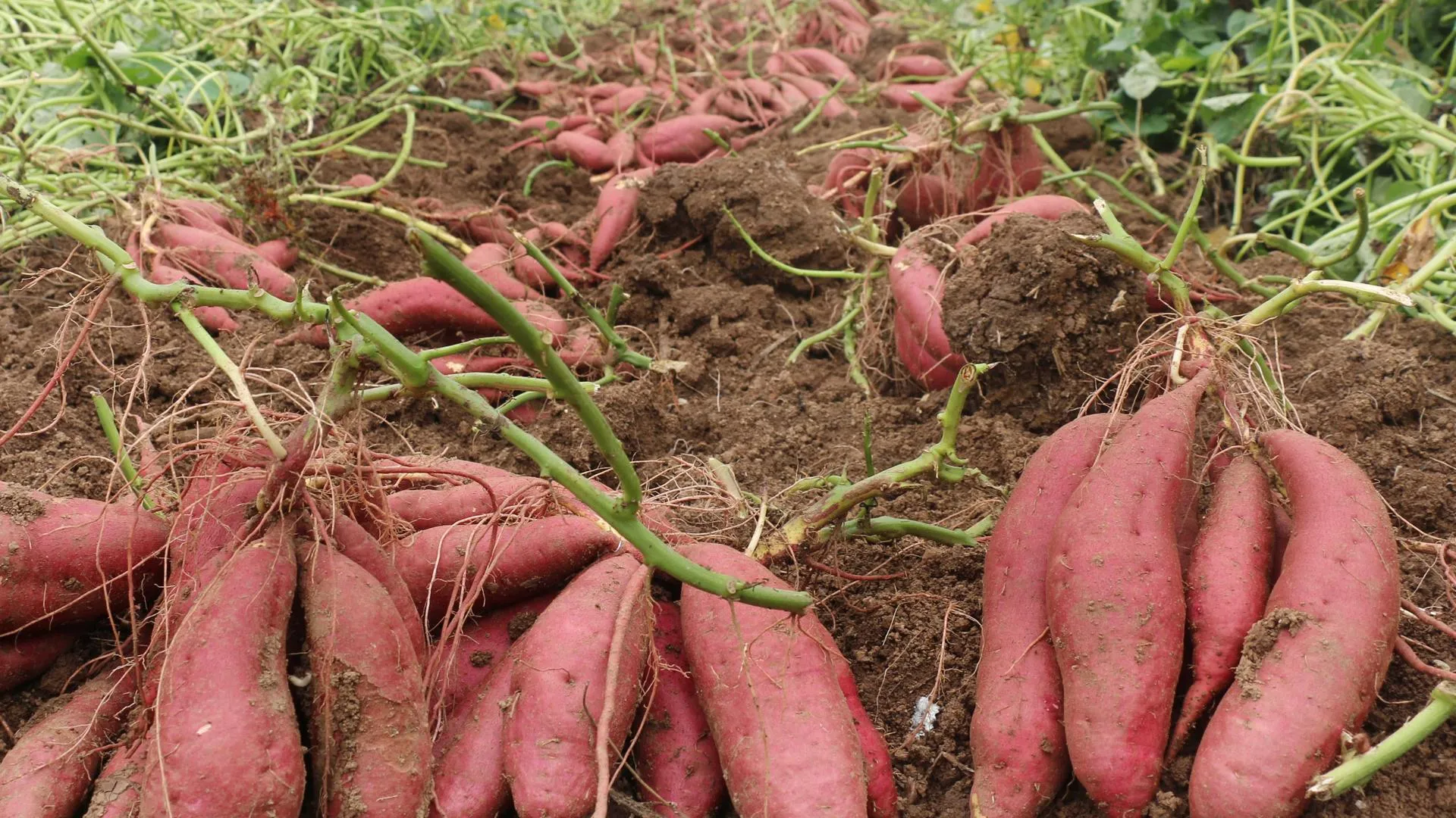 Wu Zhengxiang/ZUMAPRESS.com