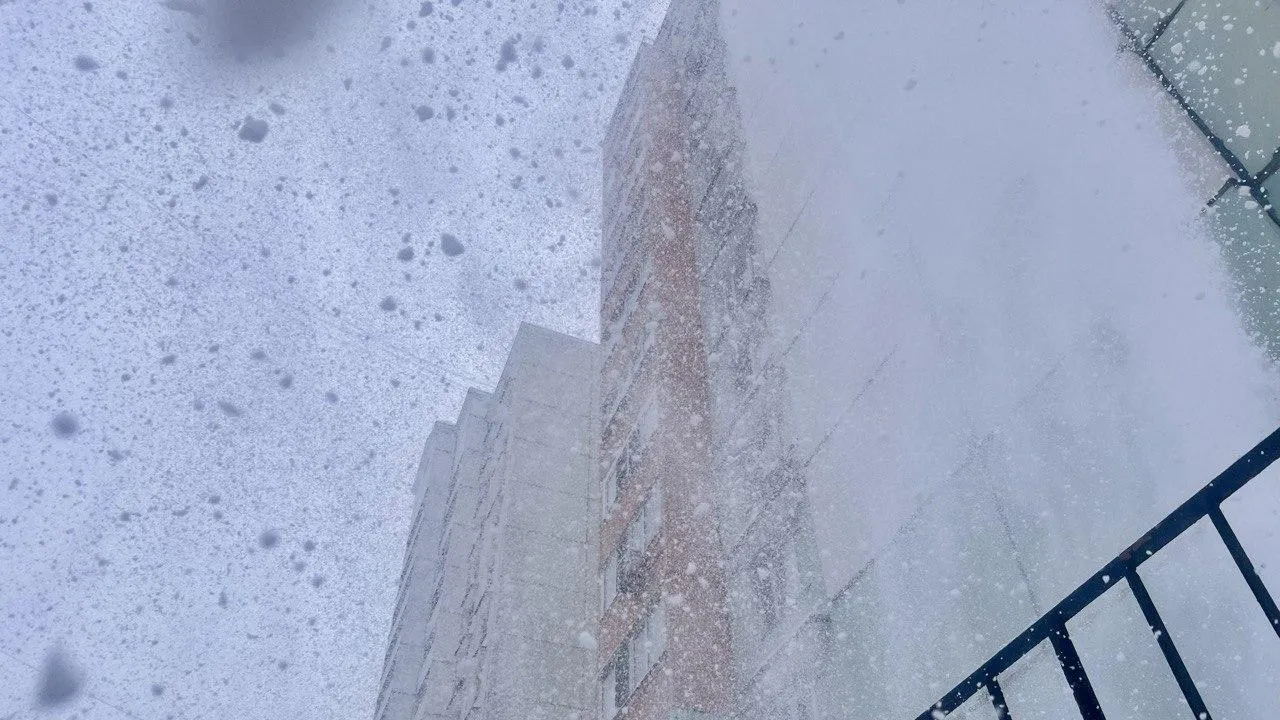 REGIONS/Валех Елчиев