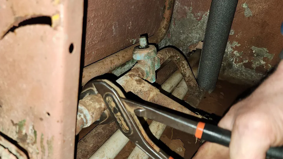 Фото: МедиаБанк Подмосковья/Яна Шаливская