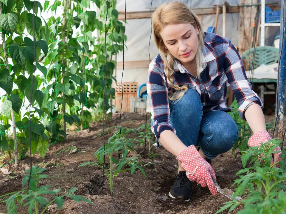 Фото: istockphoto.com