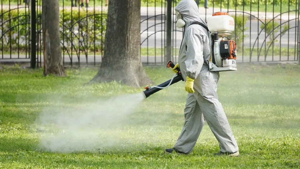 Фото: Медиабанк Подмосковья/Алена Притула
