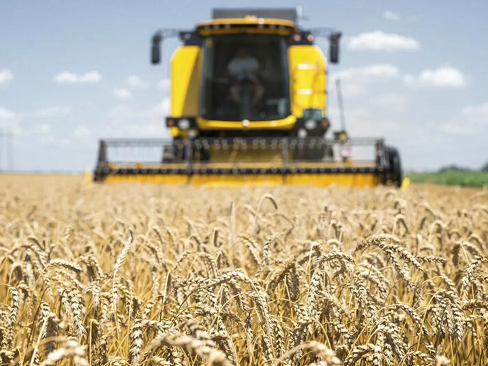 «Нужно дожидаться итогов саммита»: когда грядет новый этап зерновой сделки