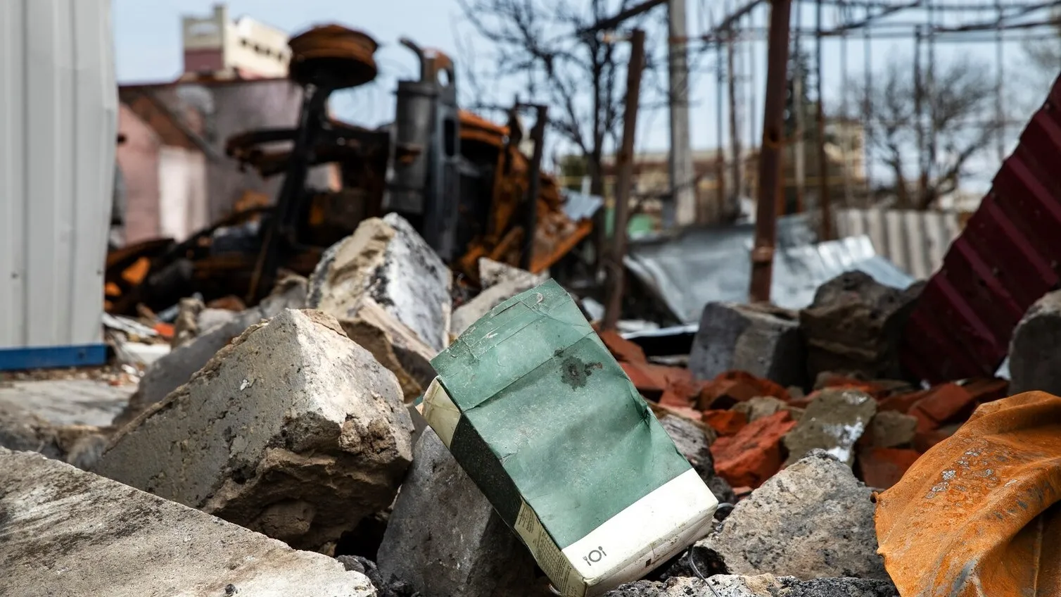 Фото: freepik.com