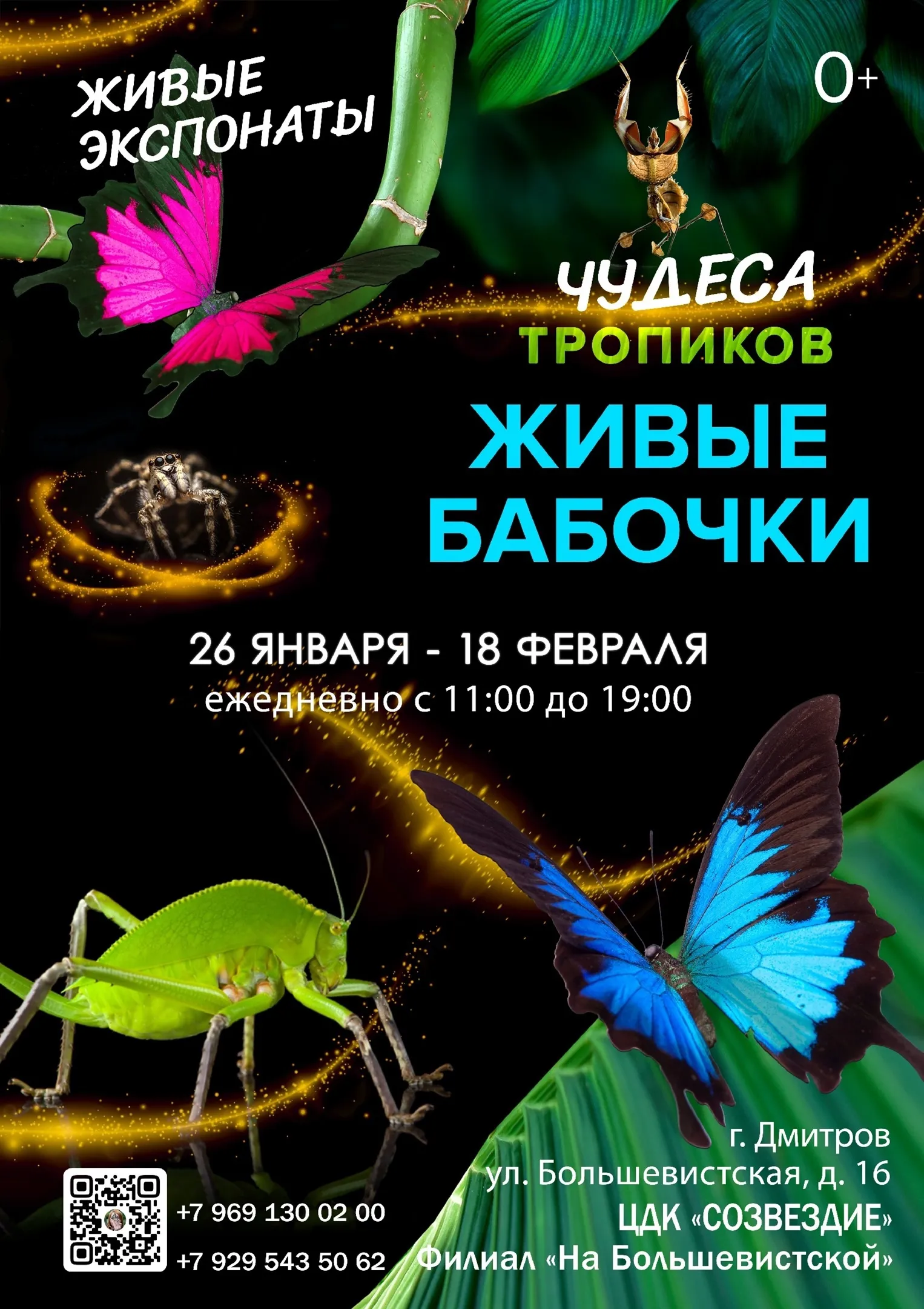 Фото: филиал «На Большевистской» Центрального Дворца культуры «Созвездие»/ВКонтакте.