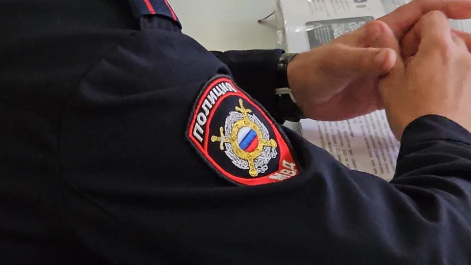 Фото: МедиаБанк Подмосковья/Ольга Вельшикаева