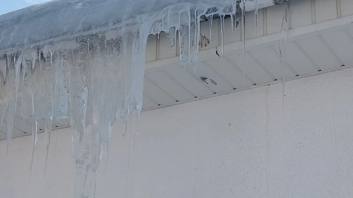 Полина Куркина