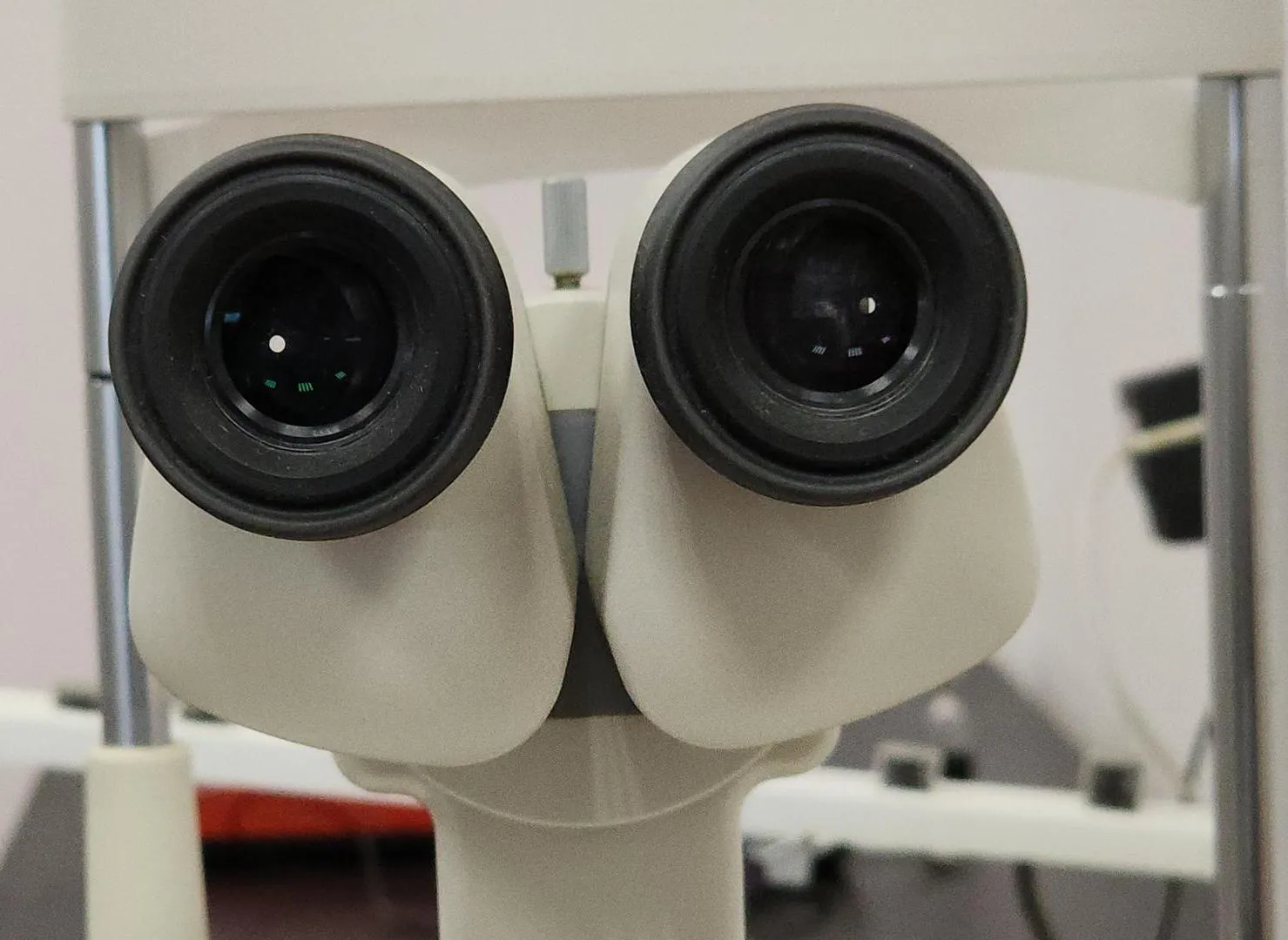 Фото: Нина Басистая