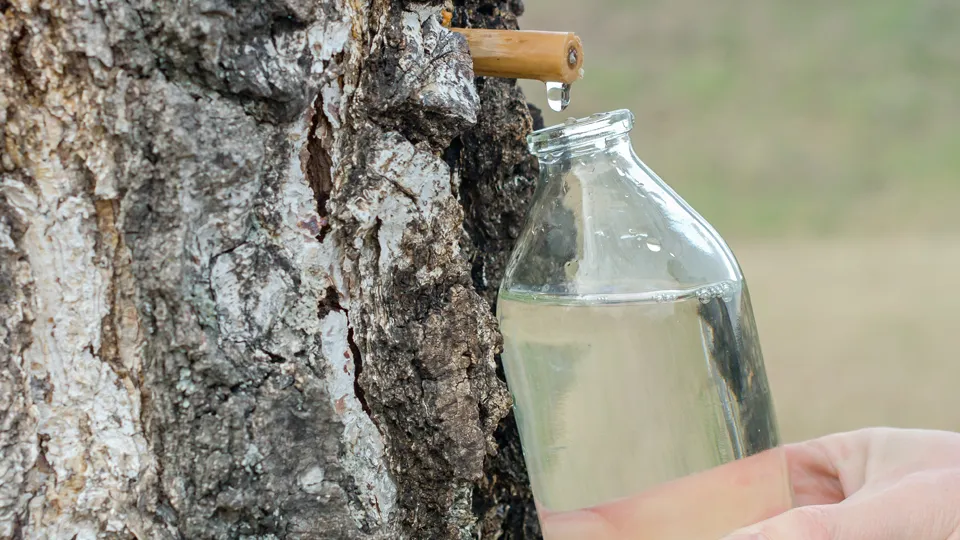 Фото: istockphoto.com